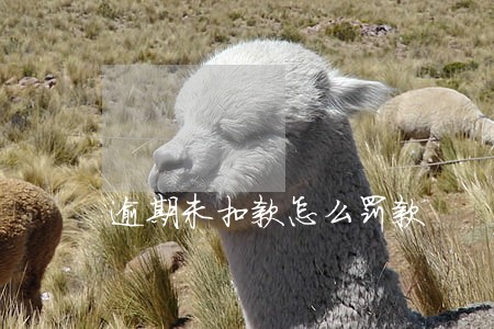 逾期未扣款怎么罚款 逾期未扣款怎么罚款