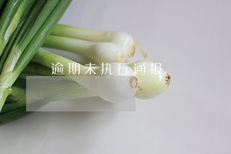 逾期未执行通报 逾期未执行通报