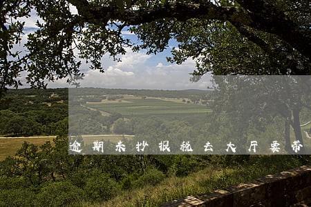 逾期未抄报税去大厅要带什么