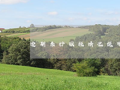 逾期未抄报税情况说明 逾期未抄报税情况说明