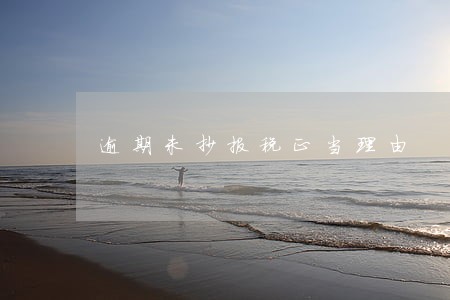 逾期未抄报税正当理由