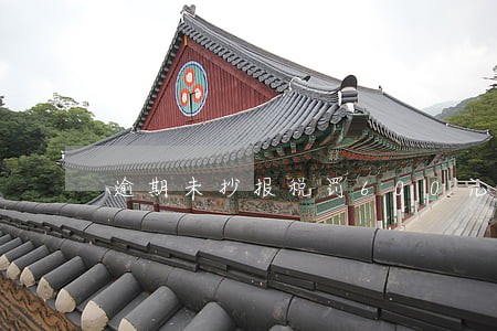 逾期未抄报税罚600元 逾期未抄报税罚600元