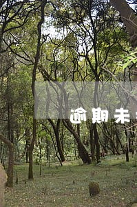 逾期未抄报税罚款 逾期未抄报税罚款