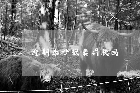 逾期未抄报要罚款吗