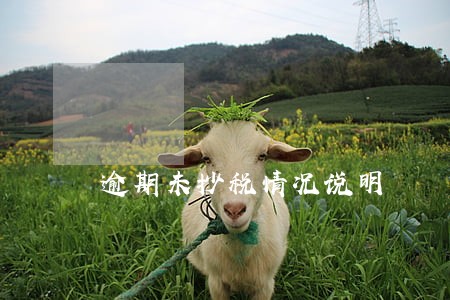 逾期未抄税情况说明 逾期未抄税情况说明