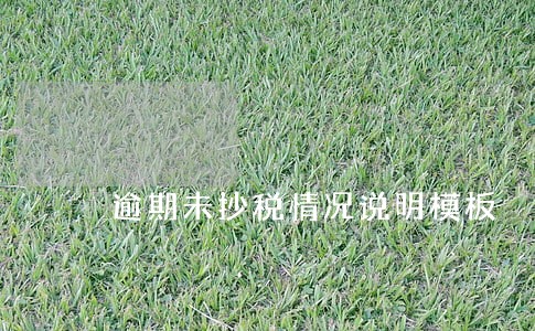 逾期未抄税情况说明模板 逾期未抄税情况说明模板