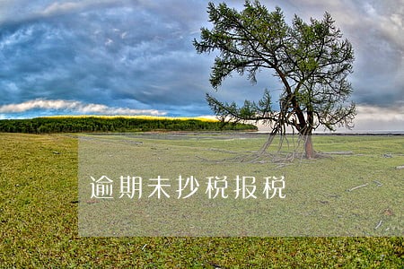 逾期未抄税报税 逾期未抄税报税