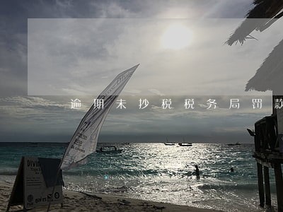 逾期未抄税税务局罚款