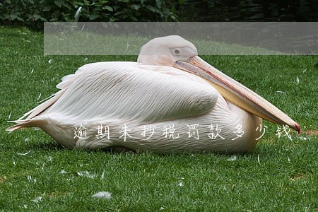 逾期未抄税罚款多少钱 逾期未抄税罚款多少钱