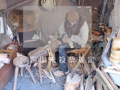 逾期未投票规定 逾期未投票规定