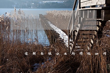 逾期未报企业所得税如何办 逾期未报企业所得税如何办