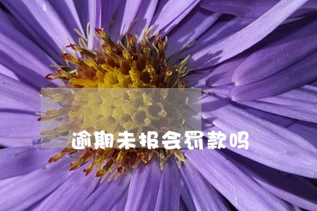 逾期未报会罚款吗 逾期未报会罚款吗