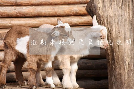 逾期未报到党员情况说明