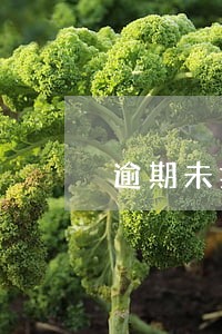 逾期未报后果自行负责 逾期未报后果自行负责