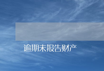 逾期未报告财产 逾期未报告财产