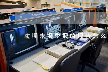 逾期未报季报的报告怎么写 逾期未报季报的报告怎么写