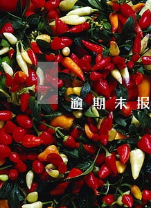逾期未报工伤公司承担的风险 逾期未报工伤公司承担的风险