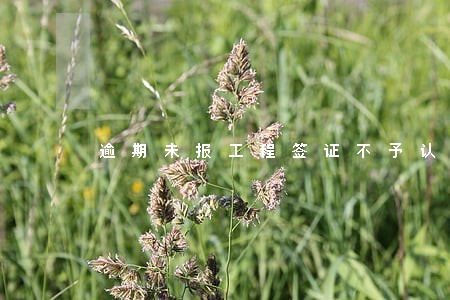逾期未报工程签证不予认可 逾期未报工程签证不予认可