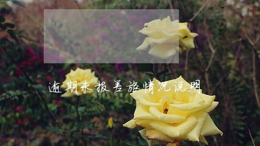 逾期未报差旅情况说明 逾期未报差旅情况说明