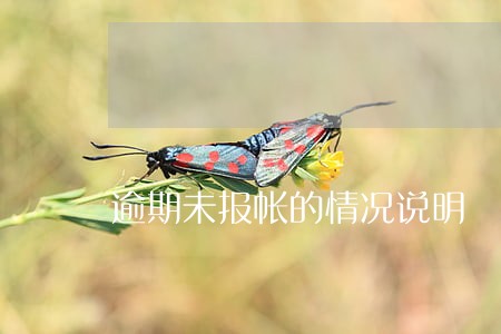 逾期未报帐的情况说明 逾期未报帐的情况说明