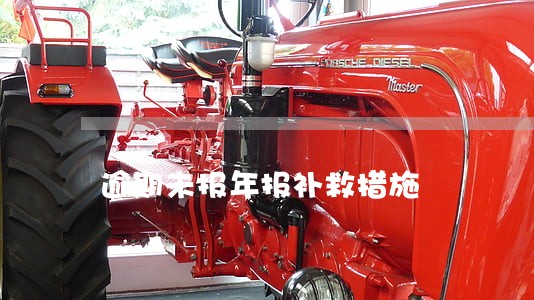 逾期未报年报补救措施 逾期未报年报补救措施