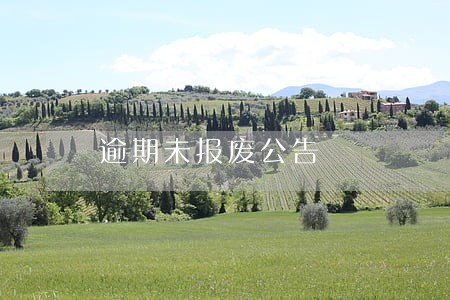 逾期未报废公告 逾期未报废公告