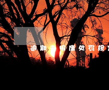 逾期未报废处罚规定 逾期未报废处罚规定