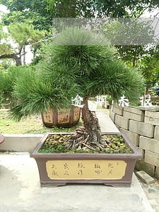 逾期未报废标准 逾期未报废标准