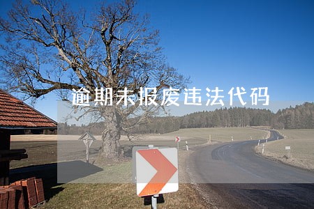 逾期未报废违法代码 逾期未报废违法代码
