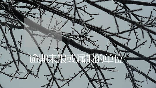 逾期未报或漏报的单位 逾期未报或漏报的单位