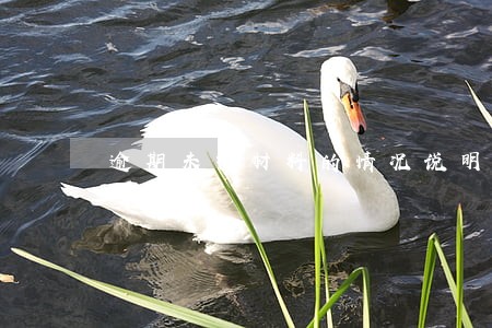 逾期未报材料的情况说明 逾期未报材料的情况说明