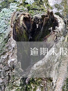 逾期未报案会怎样 逾期未报案会怎样