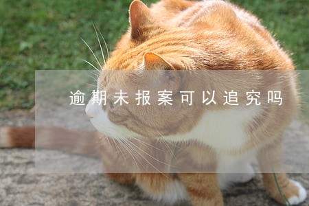 逾期未报案可以追究吗 逾期未报案可以追究吗