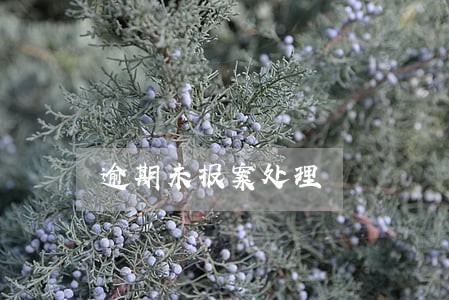 逾期未报案处理 逾期未报案处理
