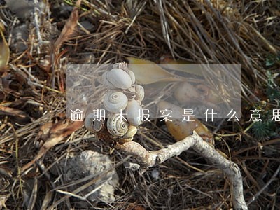 逾期未报案是什么意思