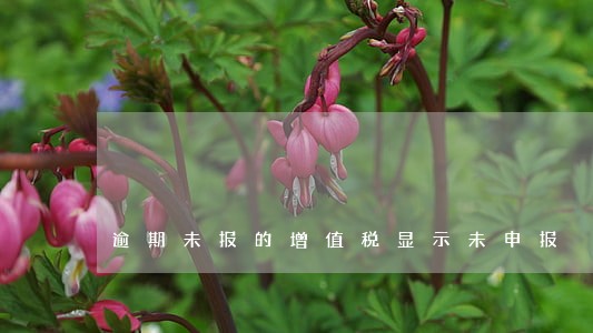 逾期未报的增值税显示未申报 逾期未报的增值税显示未申报