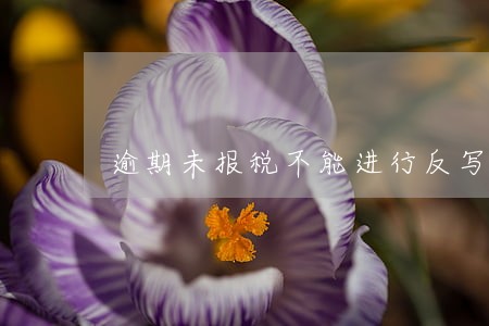 逾期未报税不能进行反写 逾期未报税不能进行反写