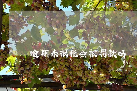 逾期未报税会被罚款吗 逾期未报税会被罚款吗