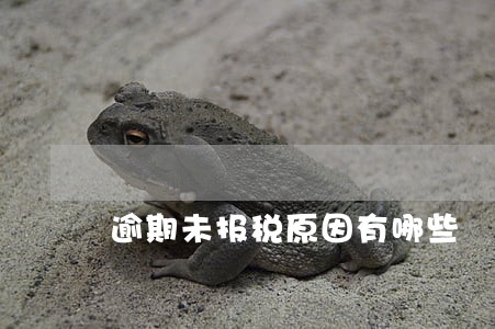 逾期未报税原因有哪些 逾期未报税原因有哪些