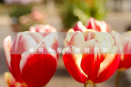 逾期未报税地税罚款 逾期未报税地税罚款