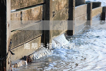逾期未报税处罚 逾期未报税处罚