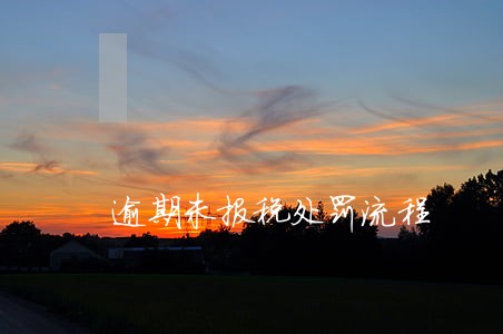 逾期未报税处罚流程