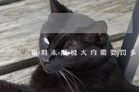 逾期未报税大约需要罚多少钱 逾期未报税大约需要罚多少钱