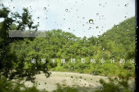 逾期未报税影响会计的征信 逾期未报税影响会计的征信