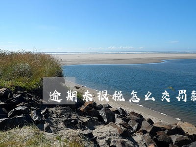 逾期未报税怎么交罚款吗 逾期未报税怎么交罚款吗