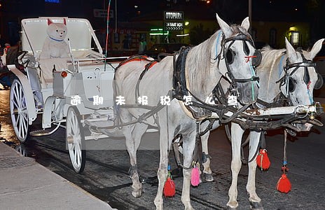 逾期未报税怎么查 逾期未报税怎么查