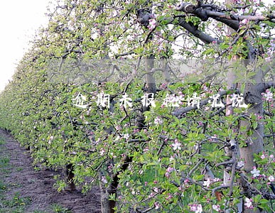 逾期未报税情况说 逾期未报税情况说