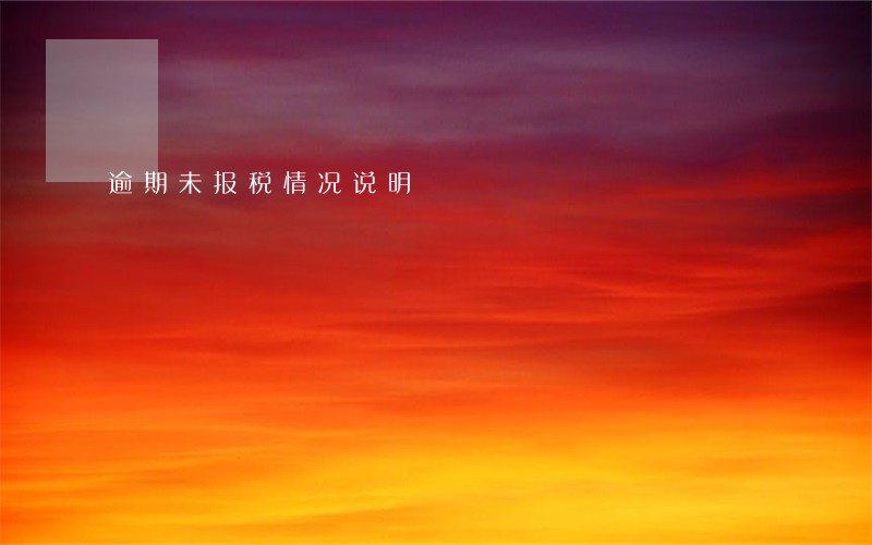 逾期未报税情况说明 逾期未报税情况说明