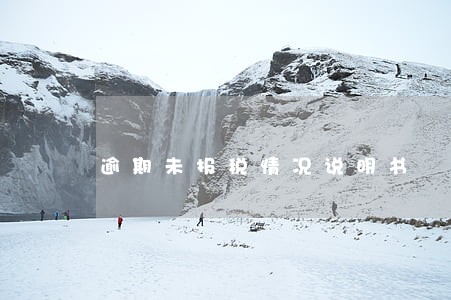 逾期未报税情况说明书 逾期未报税情况说明书
