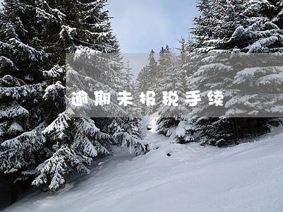 逾期未报税手续 逾期未报税手续